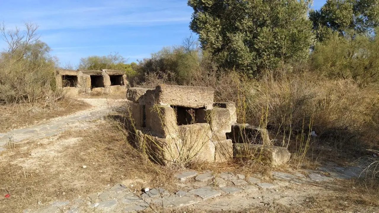 Tumbas p&uacute;nicas.