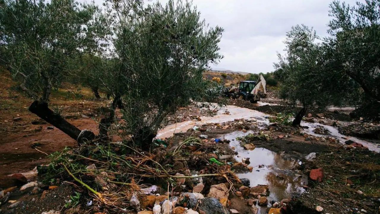 Una m&aacute;quina intenta adecuar el terreno del arroyo de El Perro, una de las dos pedan&iacute;as de la localidad malague&ntilde;a de Ardales  - EFE/Jorge Zapata
