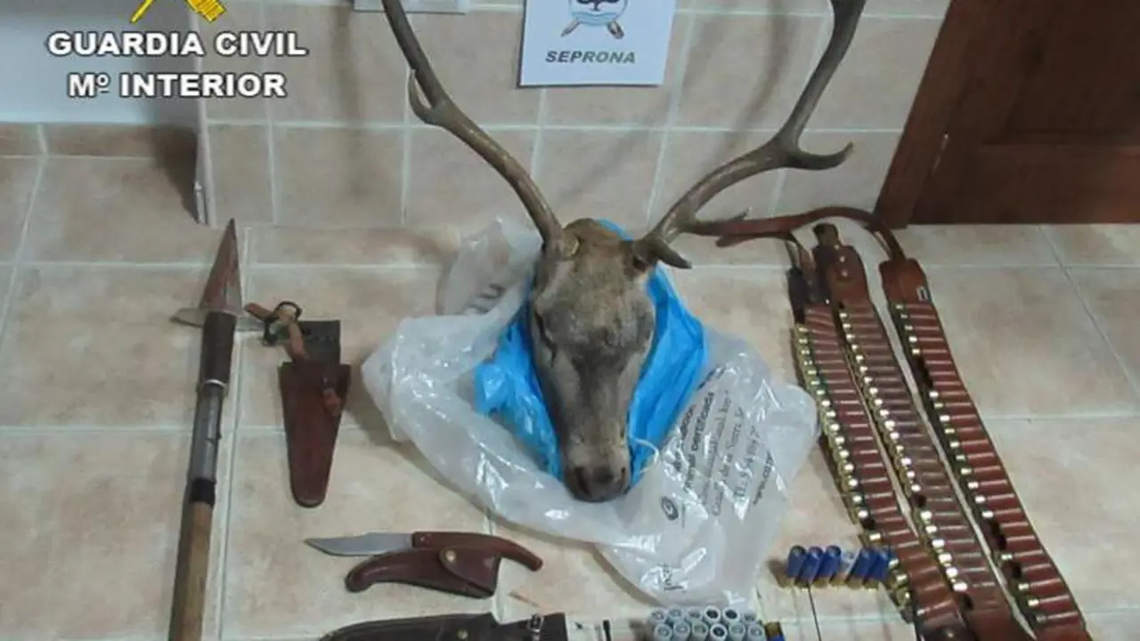 Los efectos incautados por la Guardia Civil. - DGGC