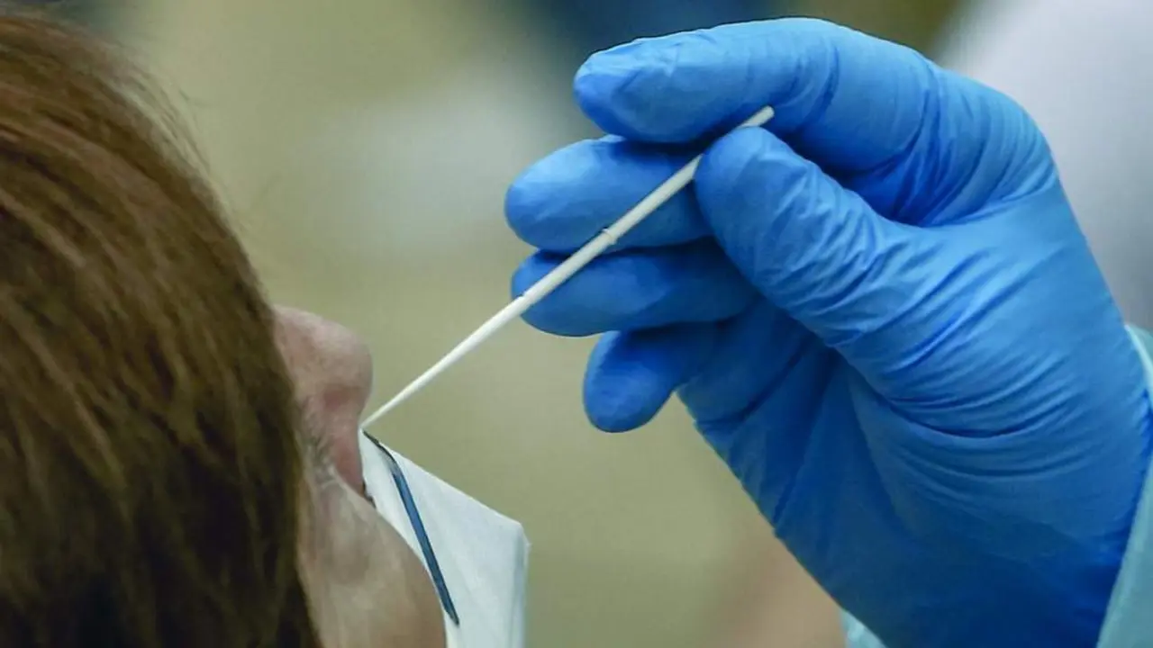 Test de coronavirus. - Archivo