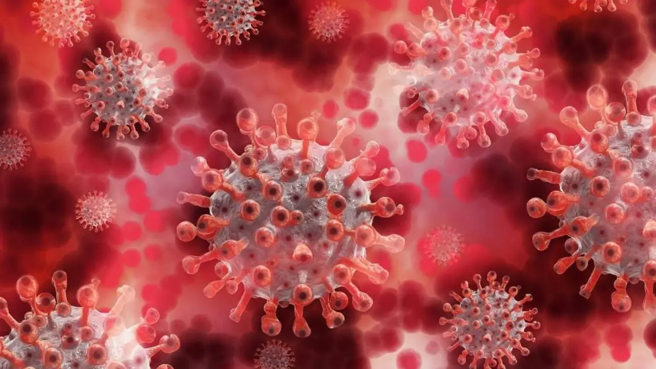 Coronavirus. - 