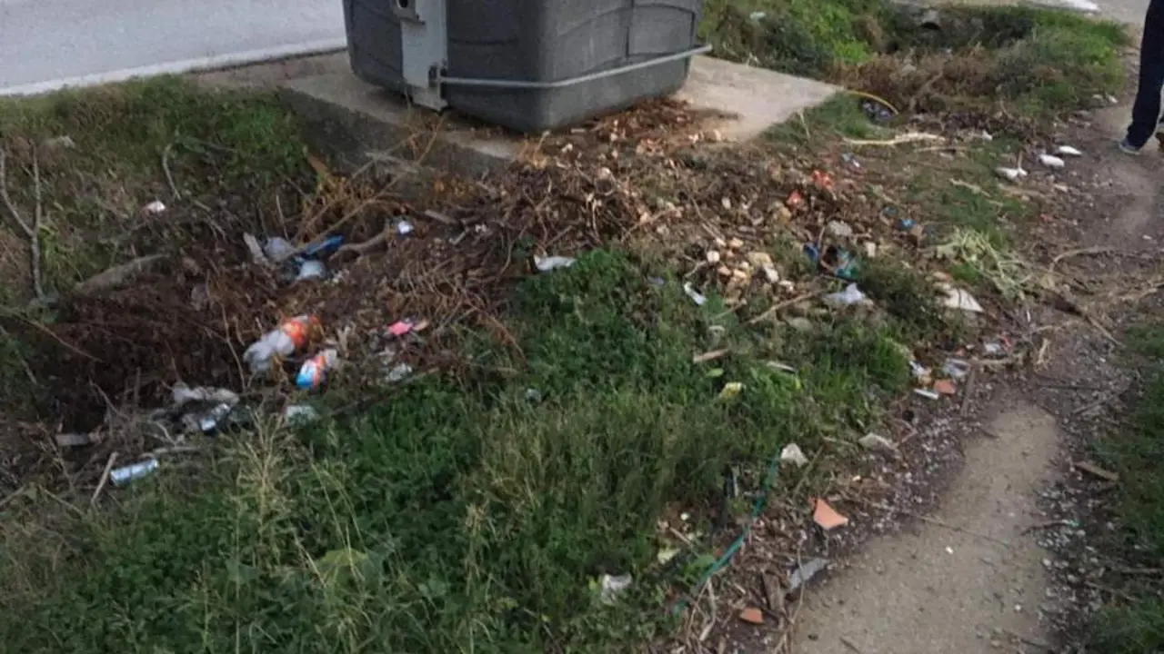 Imagen de la zona. - 