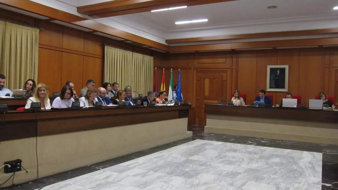 Pleno en C&oacute;rdoba. - Europa Press