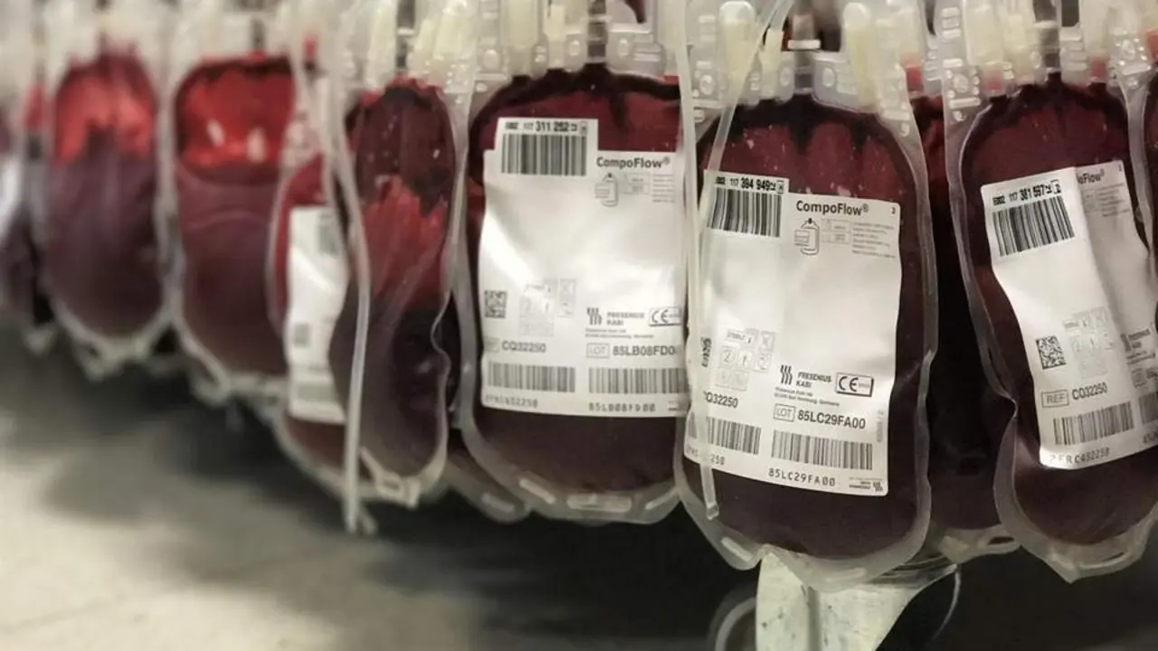 Sangre. - Europa Press