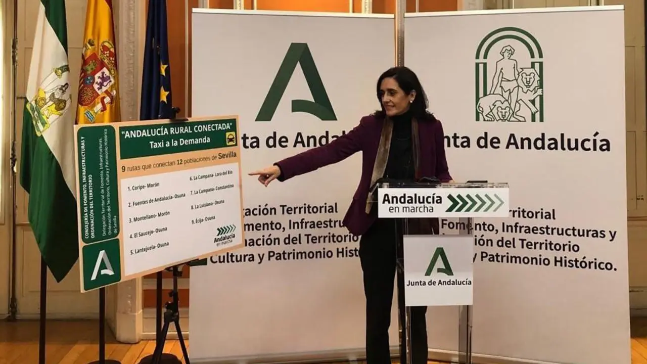 La delegada de Fomento, Susana Cayuelas. - FOMENTO
