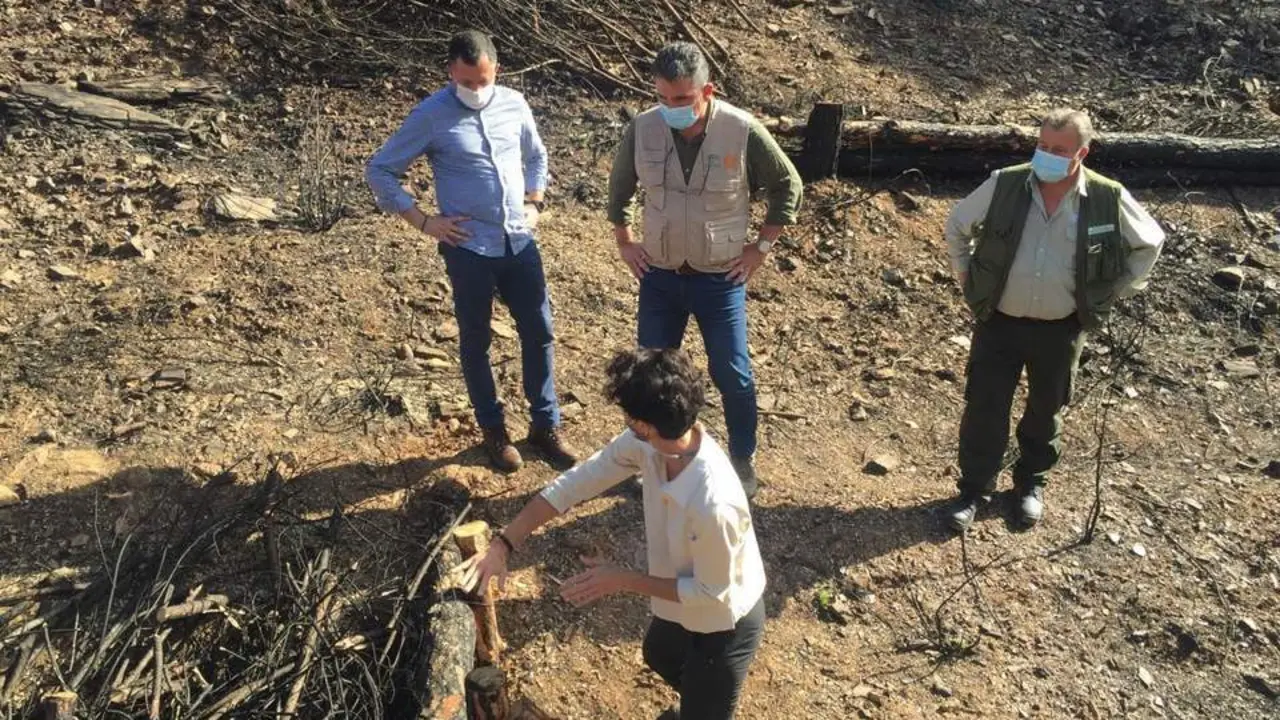 Visita a las actuaciones tras el incendio de Almonaster. - VH