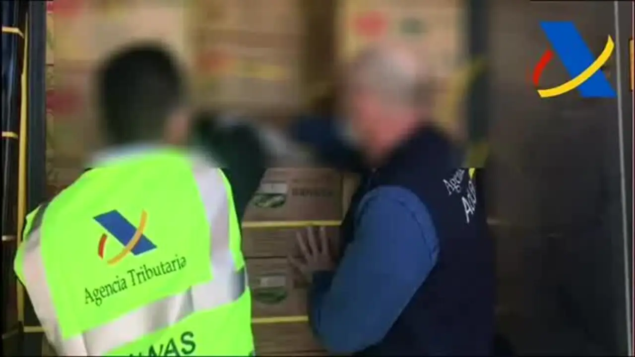 Intervenidos 1.600 kg de coca&iacute;na en un contenedor con pl&aacute;tanos en el puerto de Algeciras