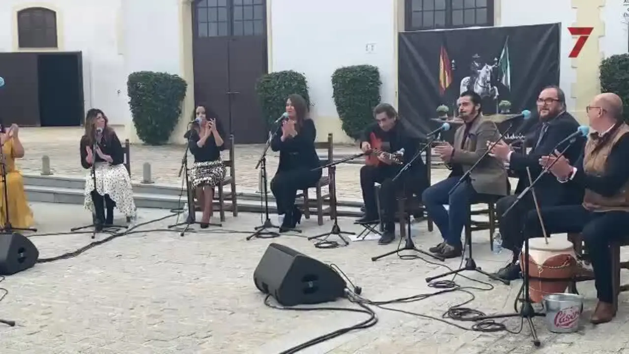 Una Navidad en Jerez con villancicos flamencos pero sin candelas encendidas