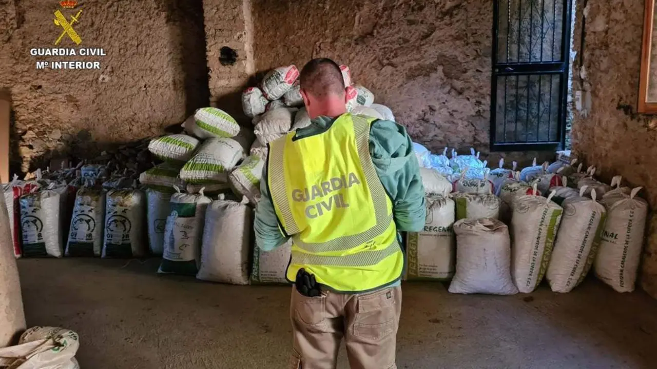 Sacos de casta&ntilde;as recuperadas. - VH