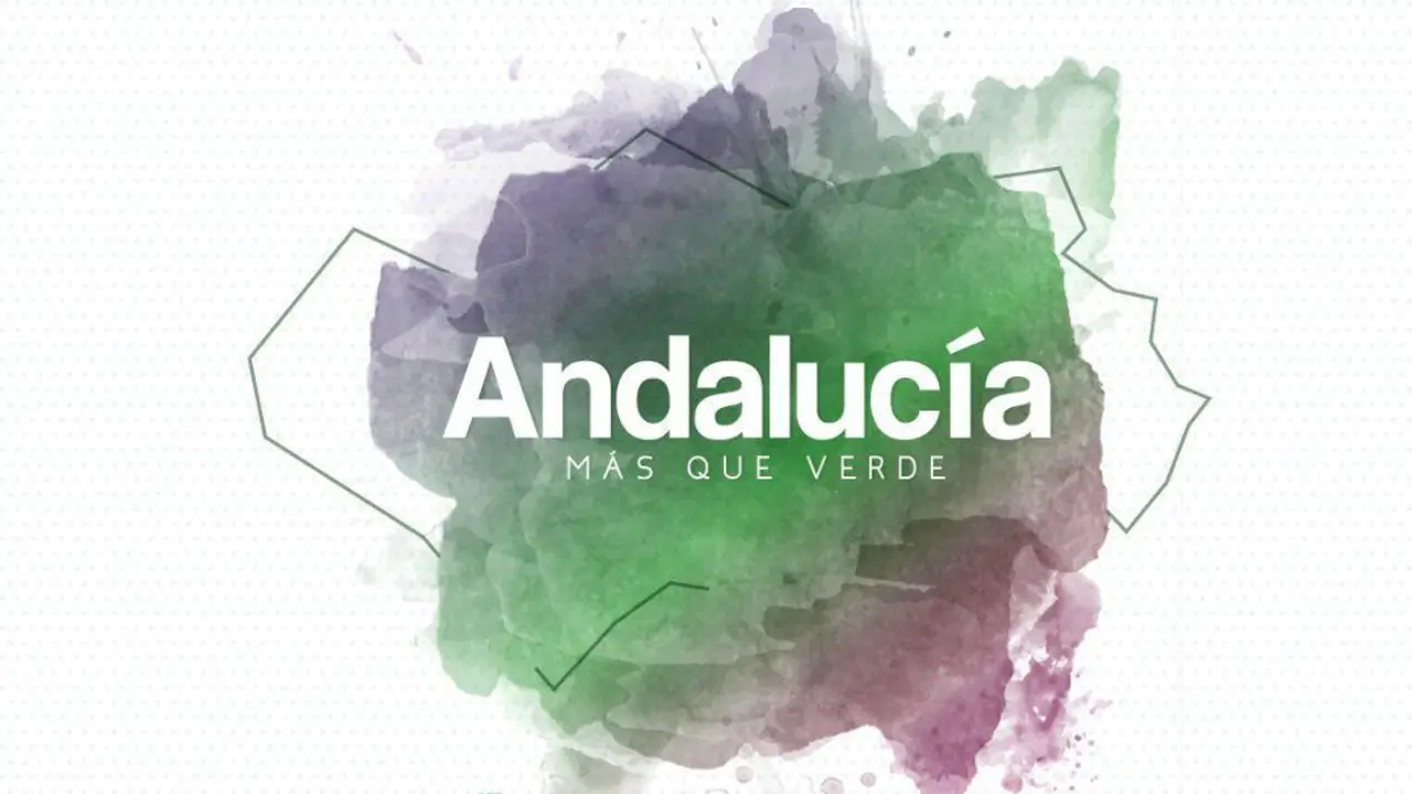 Andaluc&iacute;a m&aacute;s que verde. - 