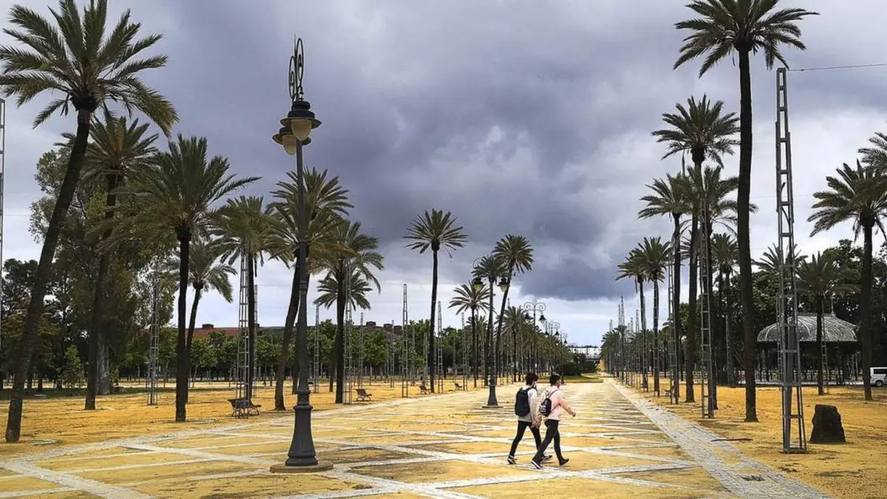 Este domingo no se instalar&aacute; el Rastrillo en el Gonz&aacute;lez Hontoria - jerez.es