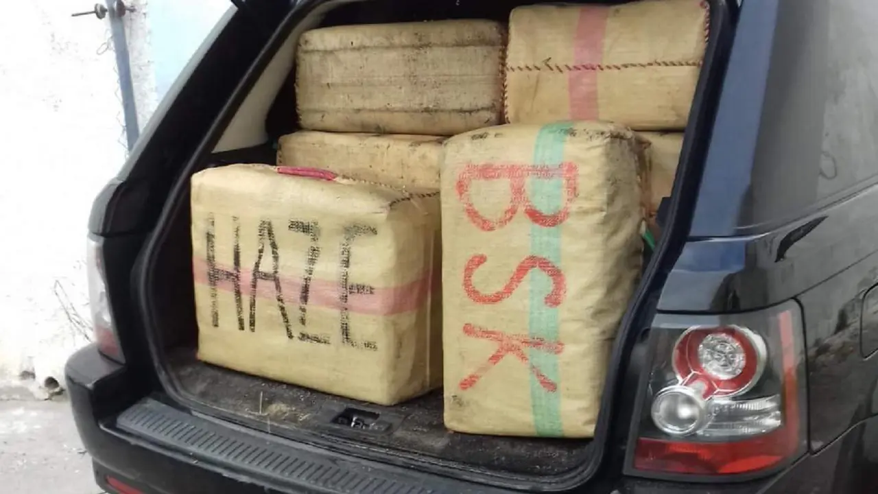 Fardos de hach&iacute;s intervenidos. - VH