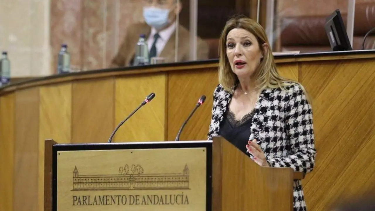 La parlamentaria de Ciudadanos (Cs), Concha Ins&uacute;a. - Europa Press