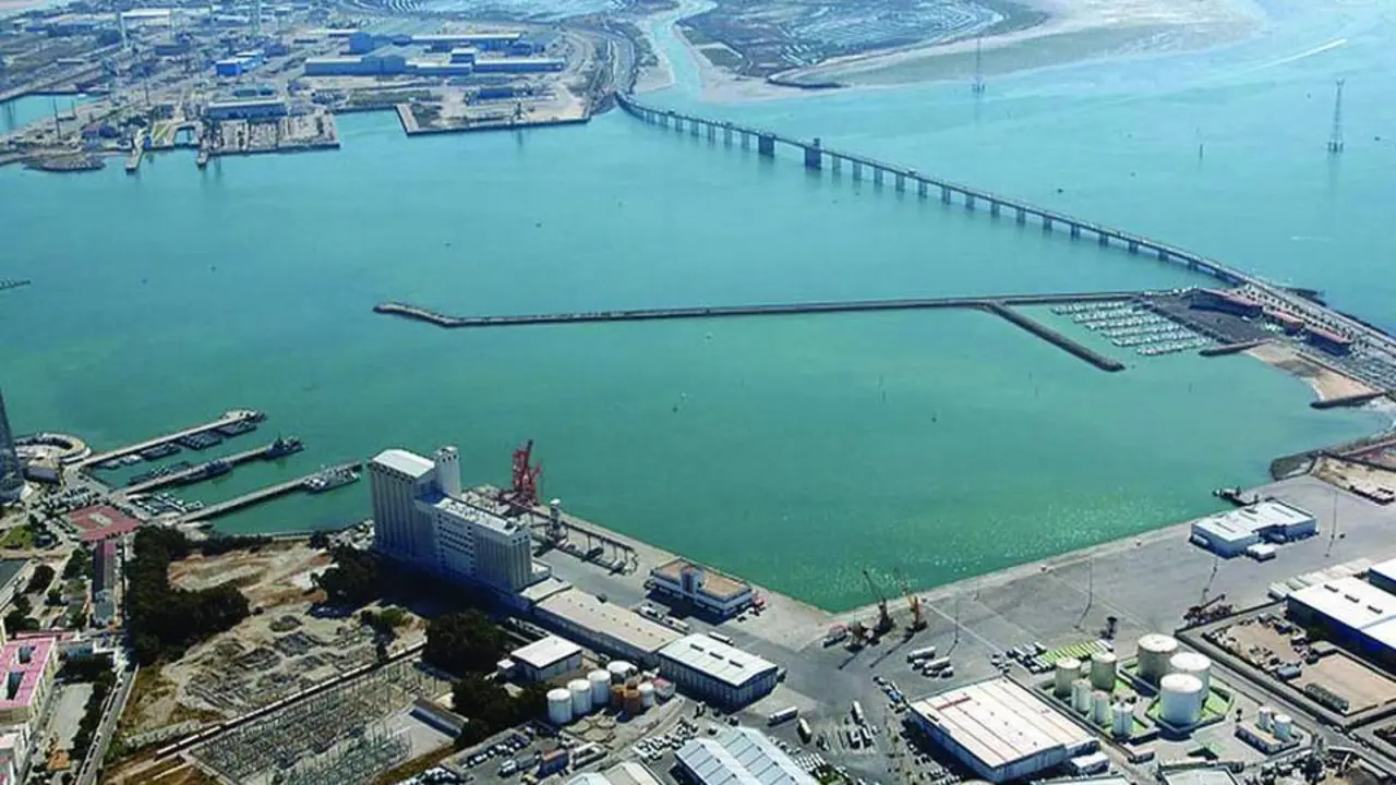 Puerto de C&aacute;diz - Viva