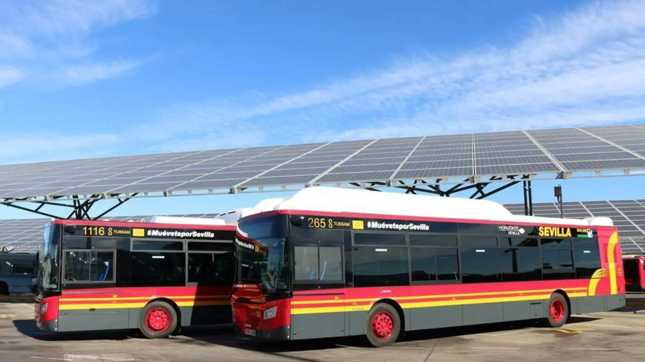 Autobuses de Tussam. - Ep