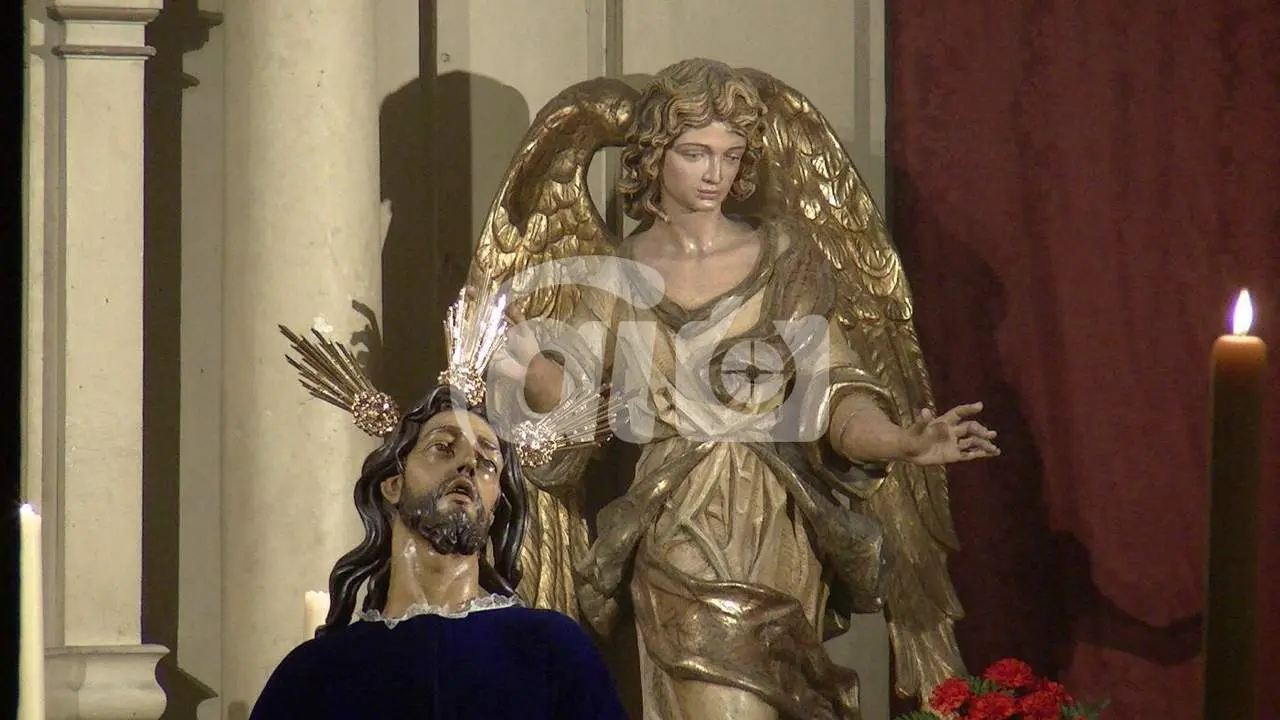V&Iacute;A CRUCIS OLIVO - ALE &Iacute;&Ntilde;IGO