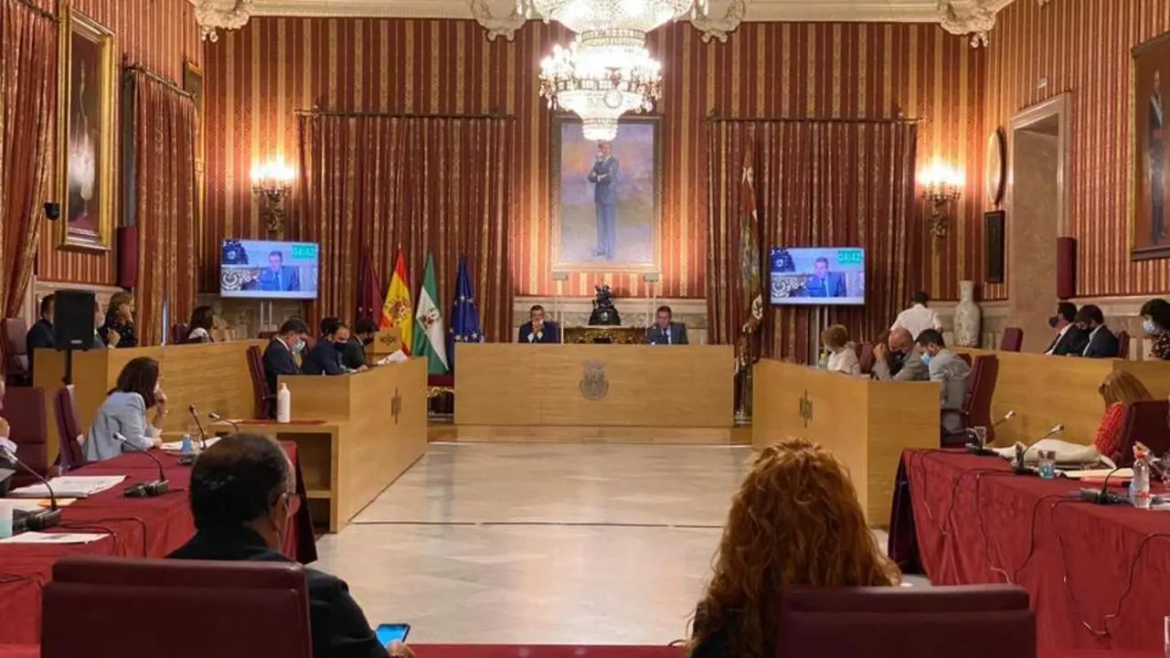 Pleno del Ayuntamiento de Sevilla. - Rodrigo Gonz&aacute;lez