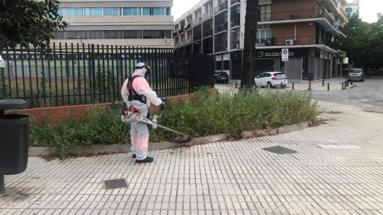 Operario realizando tareas de desbroce. - AYto