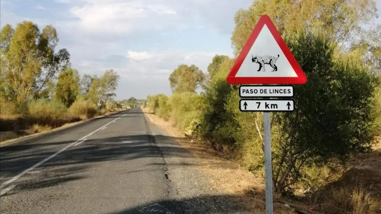 Carretera Dehesa de Abajo. - EP