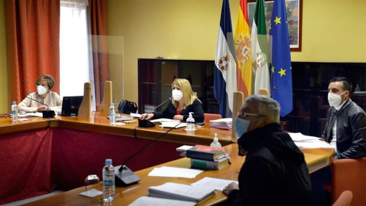 Mamen S&aacute;nchez, presidiendo un Pleno telem&aacute;tico.  - Andaluc&iacute;a Informaci&oacute;n