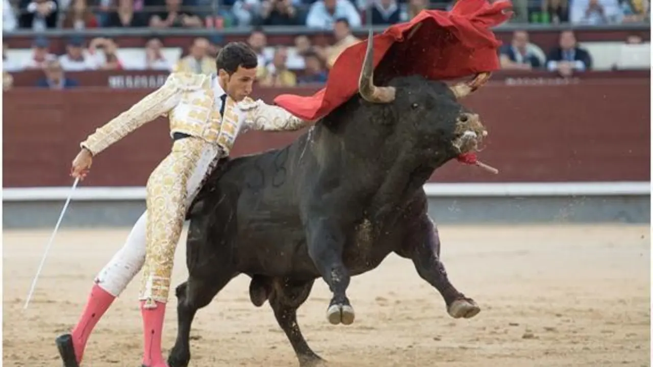 David de Miranda. - VH