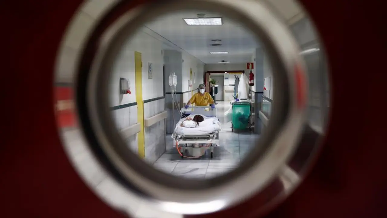 Un a&ntilde;o marcado por el coronavirus. - EFE