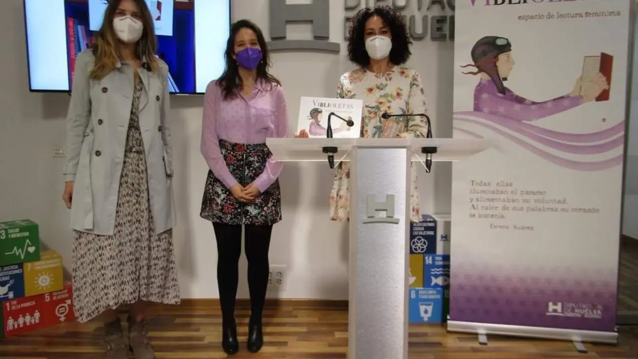 Presentaci&oacute;n del proyecto Viblioletas. - VH