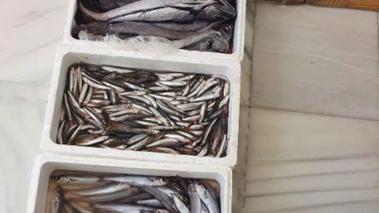 Pescado decomisado. - AI