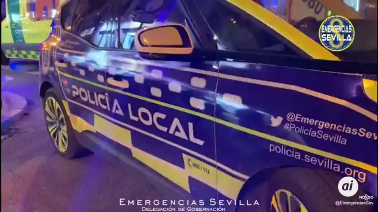 Tres mujeres heridas graves al caerles encima la rama de un &aacute;rbol en Sevilla