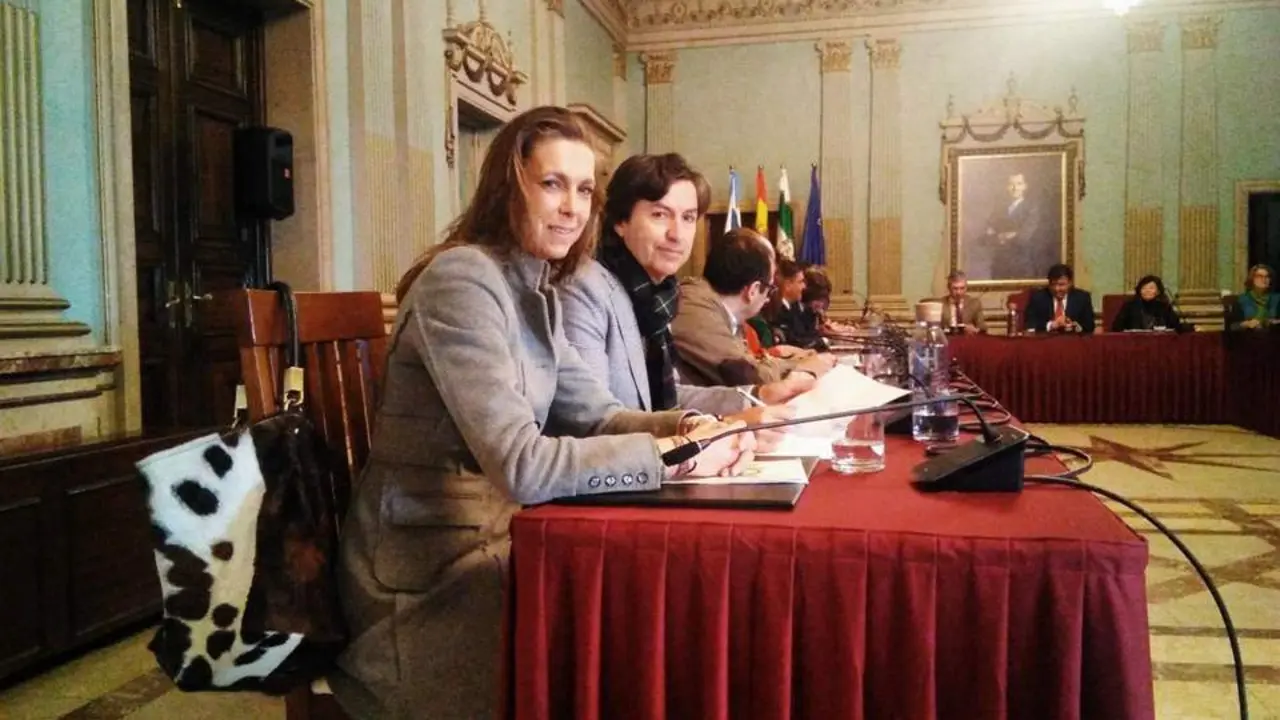 Los ediles de Vox en el Ayuntamiento. - VH