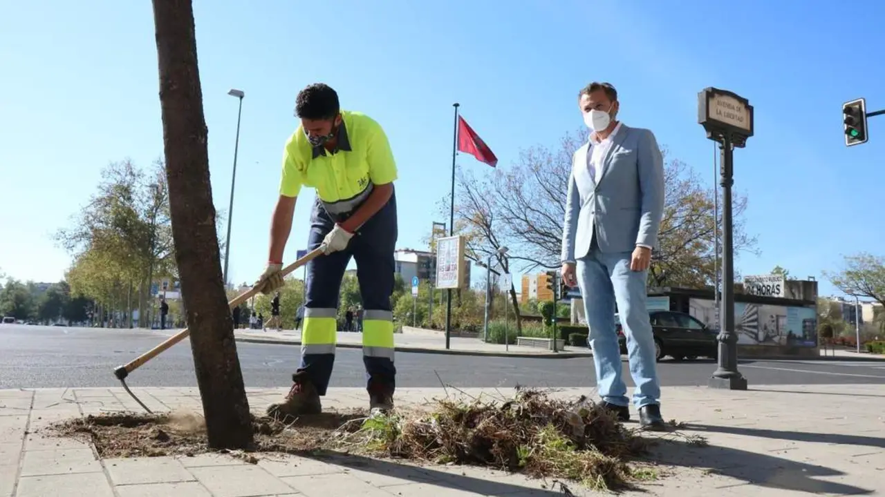 Un operario de Parques y Jardines junto a David Dorado, presidente de Sadeco. - Pablo Mansilla