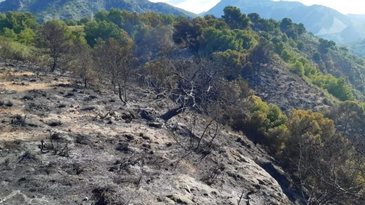 Zona afectada por el fuego. - Infoca