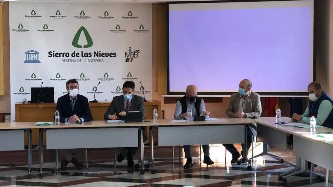 Junta Directiva GDR. - Ronda Semanal
