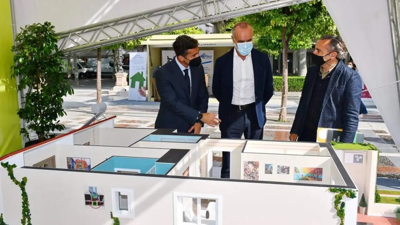#Rehabilitaverde 2021 en la Plaza Nueva. - AYTO