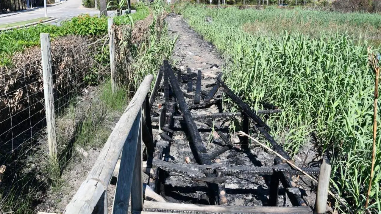 Pasarela de la Laguna de Torreguadiaro. - AI