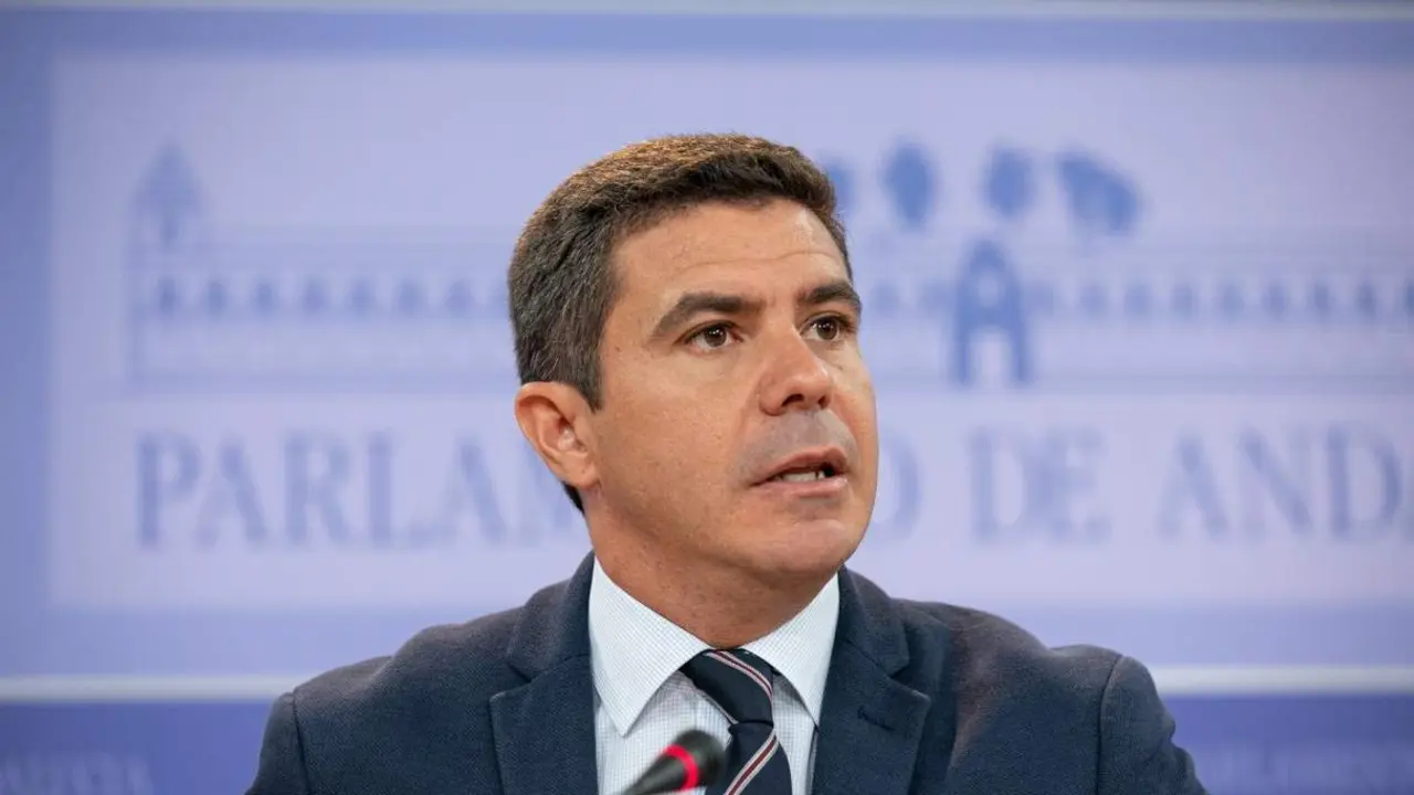 Portavoz Parlamentario De Ciudadanos (Cs), Sergio Romero. - EP