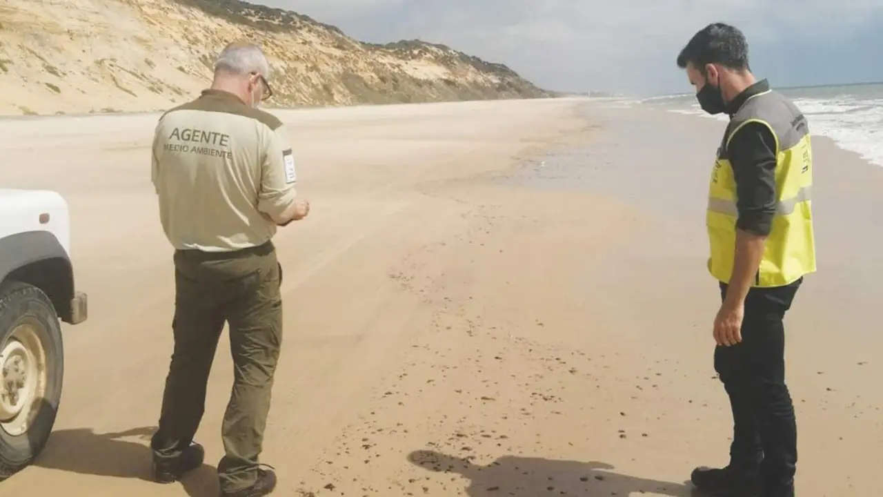 Manchas de hidrocarburo en la costa onubense. - VH