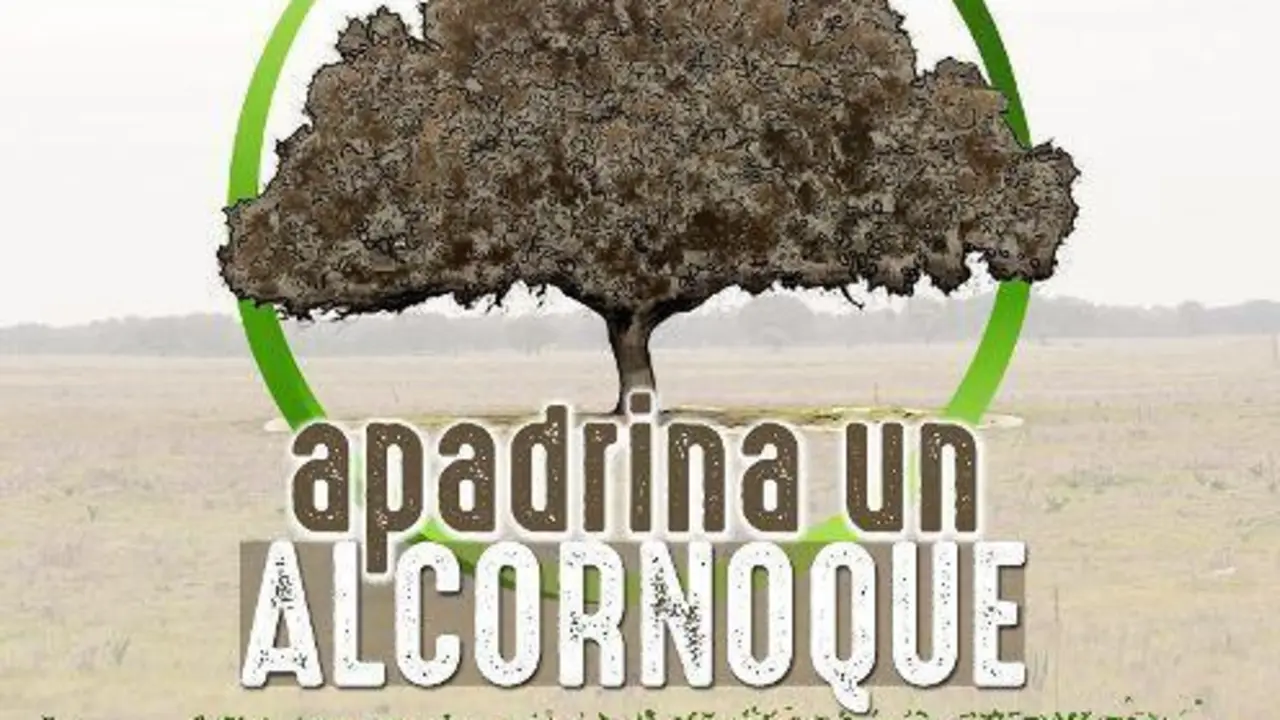 Apadrina un Alcornoque en Los Barrios. - AI