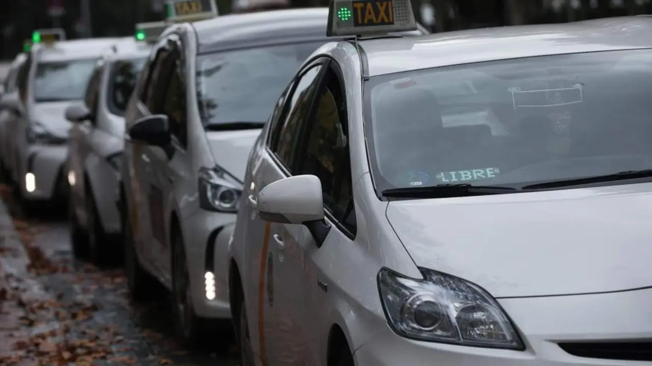 Varios taxis a la espera de clientes, guardan turno en una parada. En Sevilla. - EP
