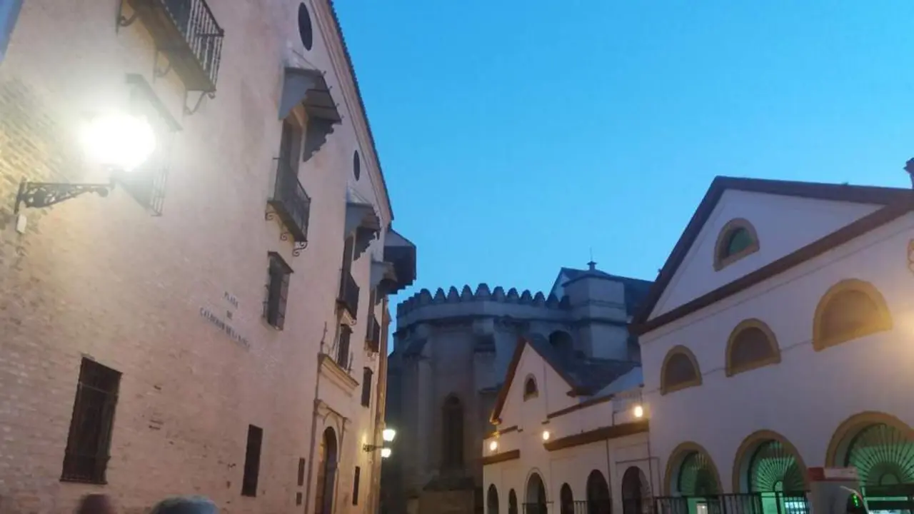 Palacio de los Marqueses de la Algaba, que acoger&aacute; la muestra. - EP