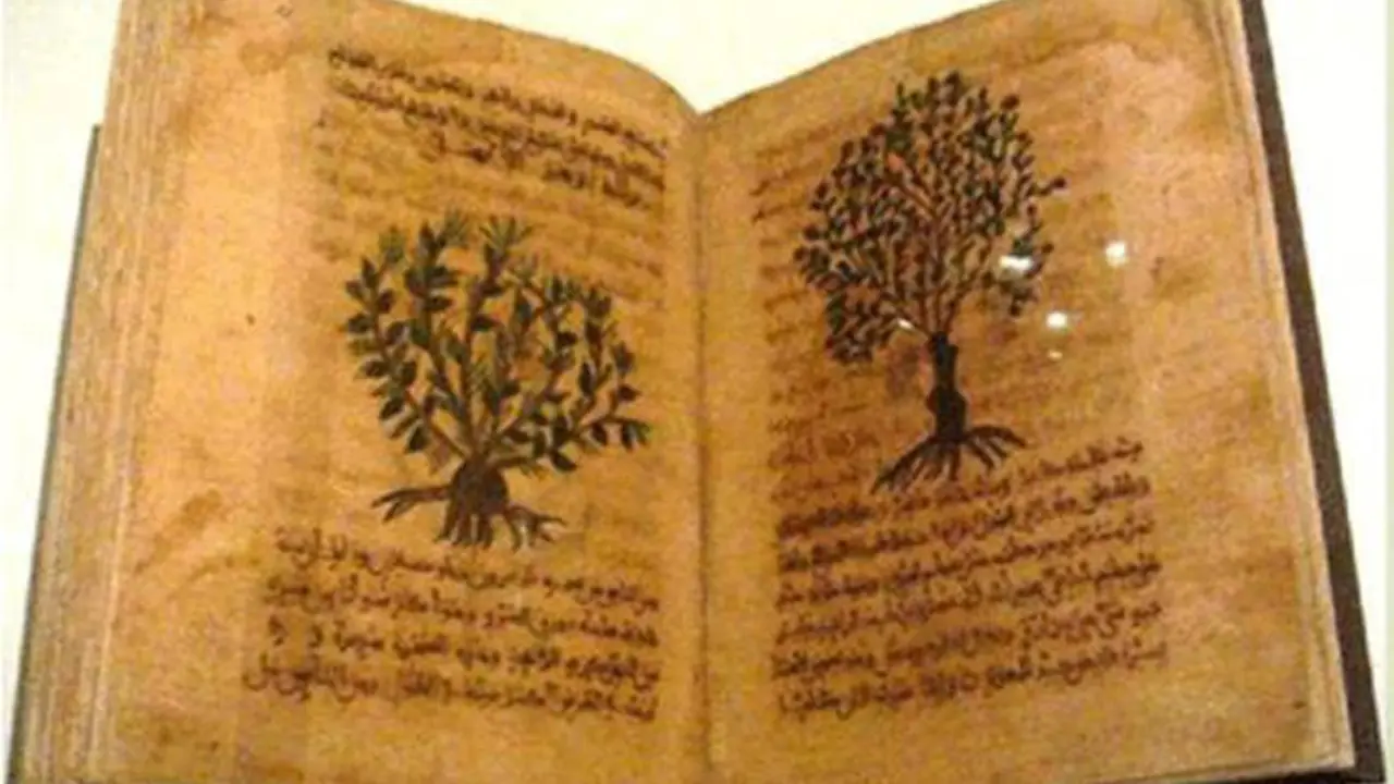 Manuscrito &aacute;rabe de la Materia M&eacute;dica de Diosc&oacute;rides traducida del griego por Hasday Ibn Saprut - Viva Ja&eacute;n