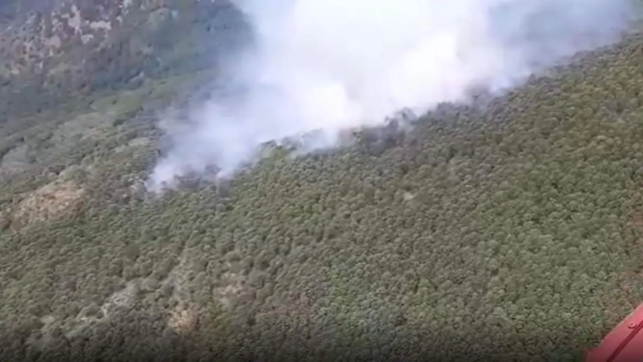 Incendio forestal en Genalguacil. - INFOCA