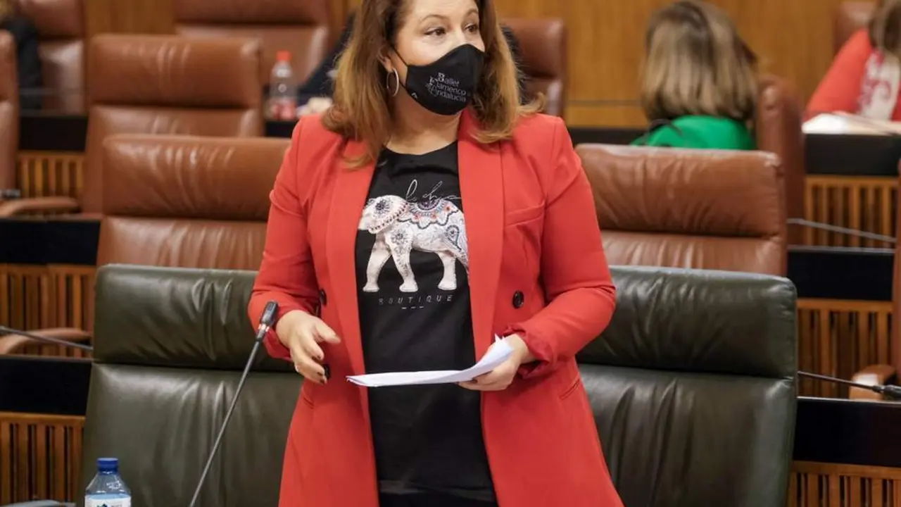 La consejera Carmen Crespo. - VH