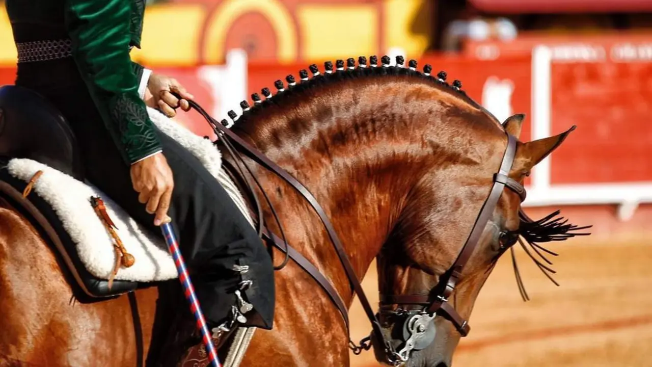 Corrida de toros. - EP