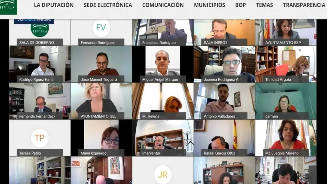 Pleno de la Diputaci&oacute;n telem&aacute;tico. - DIPUTACION