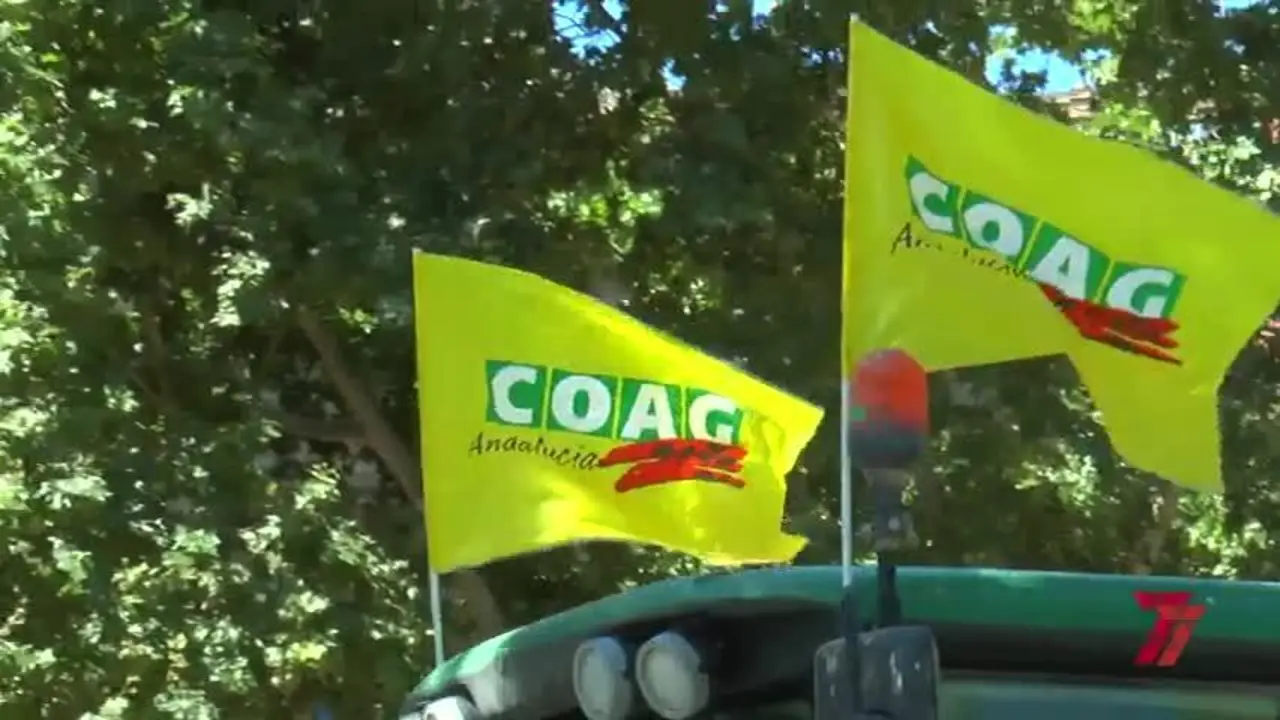 El Bajo Guadalquivir reclama con una tractorada un reparto de agua "lineal"