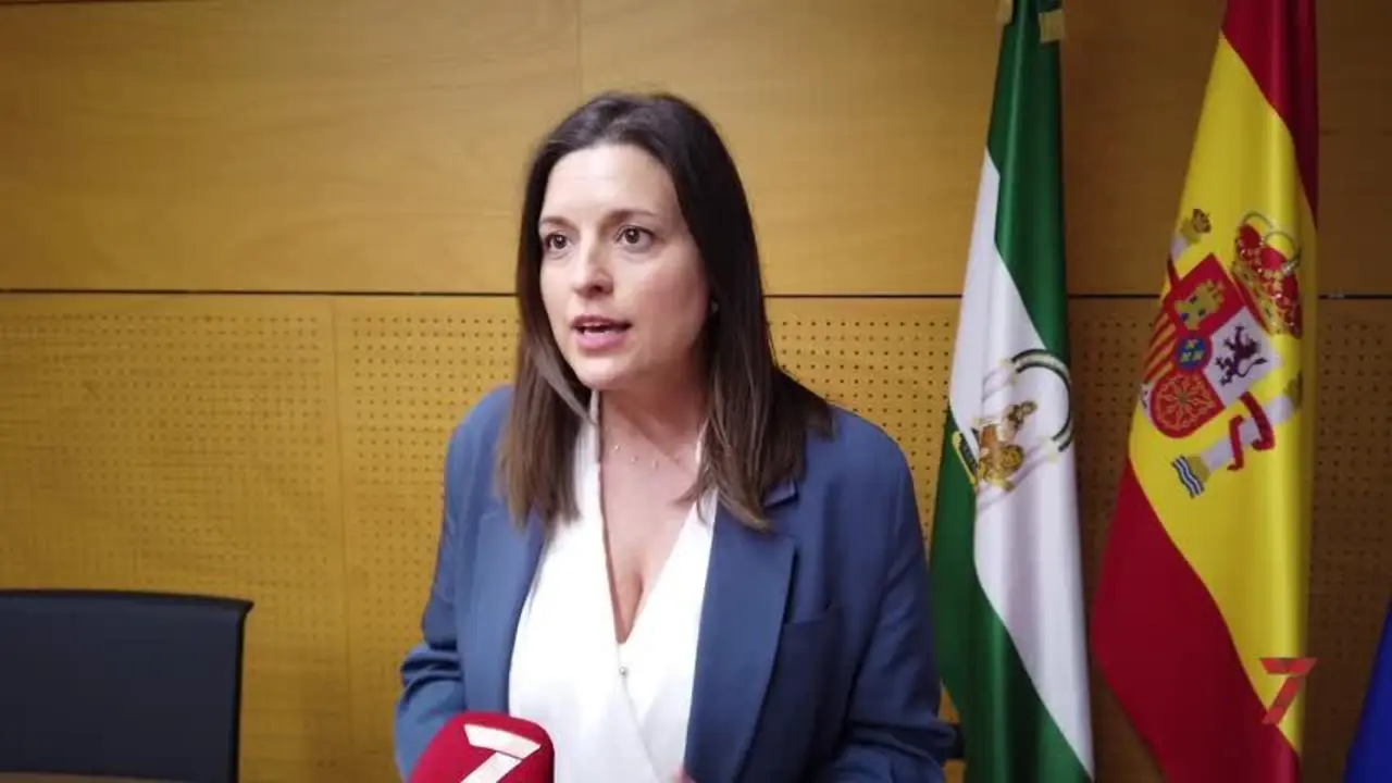 "Hay chiringuitos instalados m&aacute;s invasivos que los de la Caser&iacute;a permitidos por Costas"
