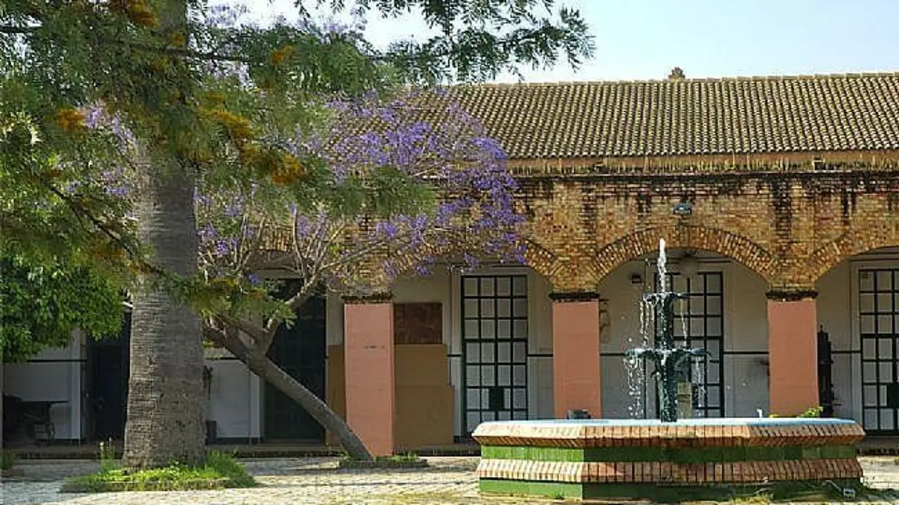 Patio de la Escuela Le&oacute;n Ortega. - VH
