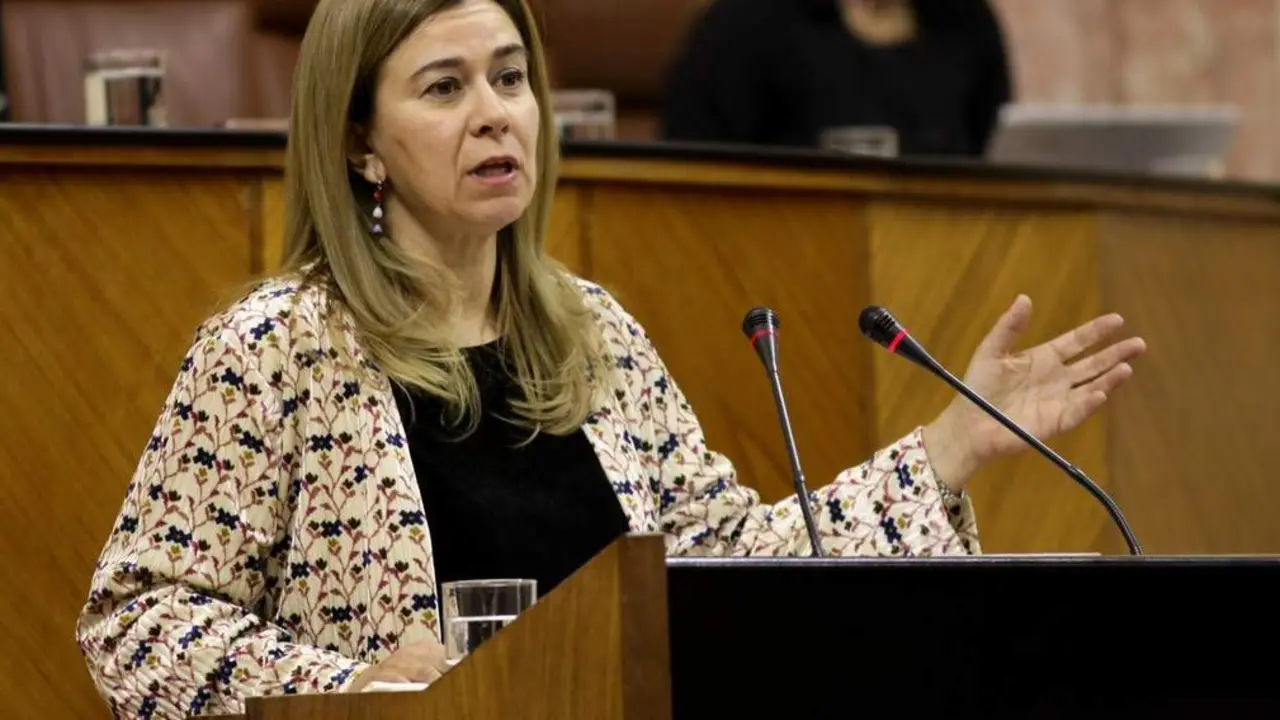 La parlamentaria Teresa Ruiz Sillero. - A.I.