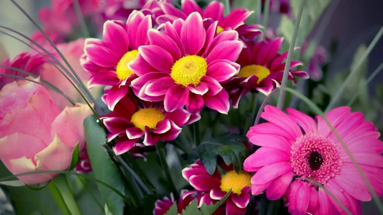 Flores. - 